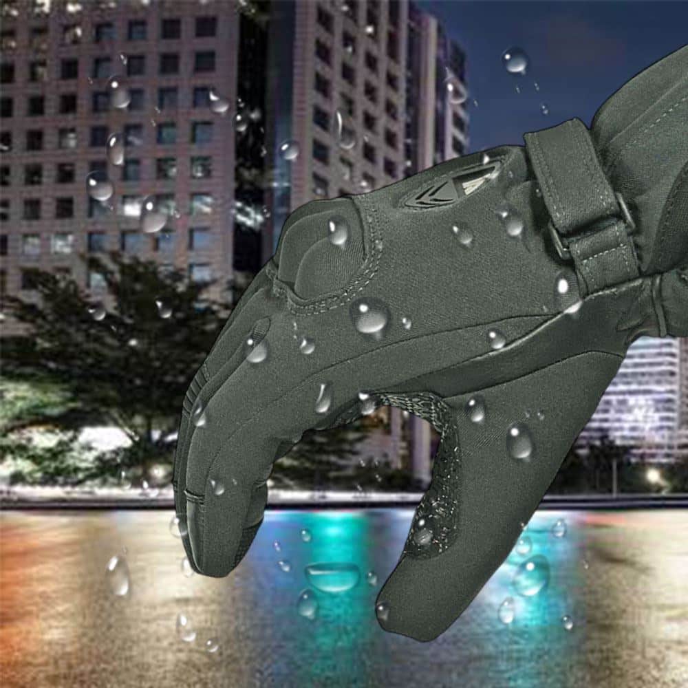 articgrislluvia_1.jpg